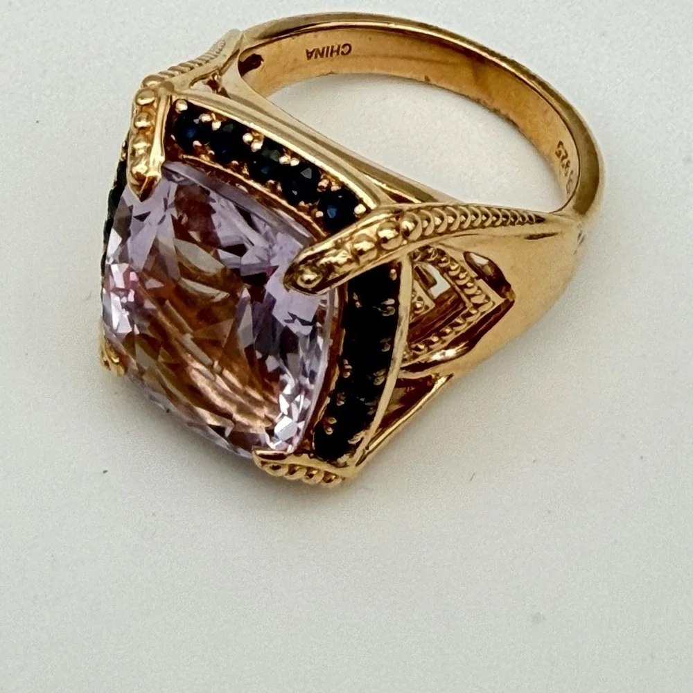 Lorenzo Mıchelle Albela florida estate